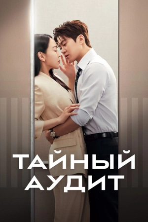 Тайный аудит