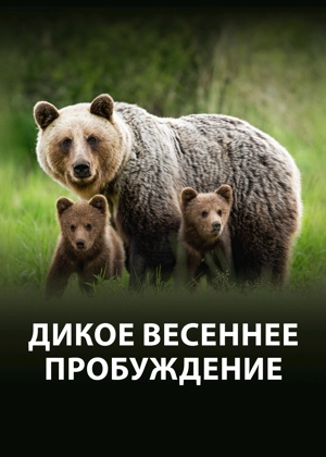 Дикое весеннее пробуждение