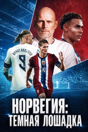 Норвегия: Тёмная лошадка